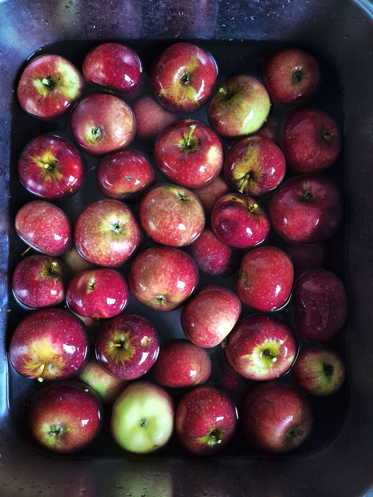 Nussdepot im Oktober 2025: „goldener Herbst“