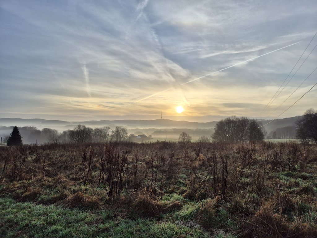 Nussdepot im Dezember 2025: „Jahresabschluss“